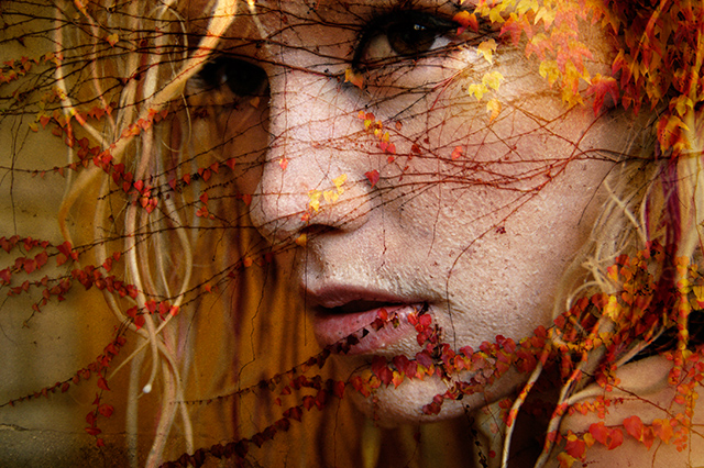 20161024151151_insousciance_red3 20161024151151_insousciance_red3