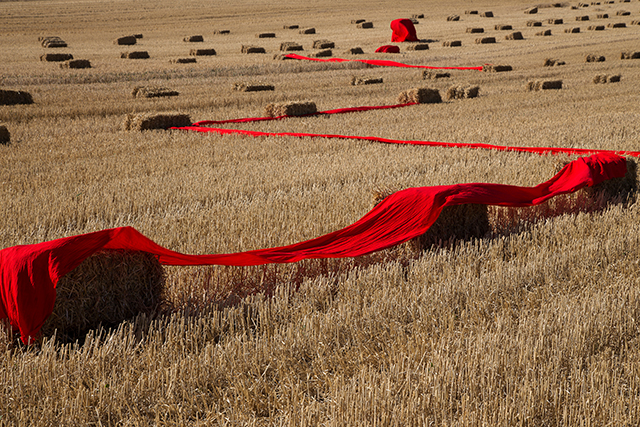 20161024174701_michel_alain_louys_lignes_rouges 20161024174701_michel_alain_louys_lignes_rouges