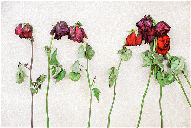 20161024195714_danse_macabre 20161024195714_danse_macabre