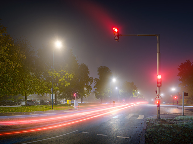 20161024200845_red_alexandre_parrot_01 20161024200845_red_alexandre_parrot_01