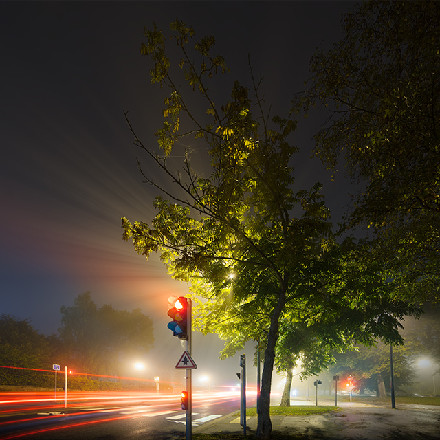 20161024201609_red_alexandre_parrot_02 20161024201609_red_alexandre_parrot_02