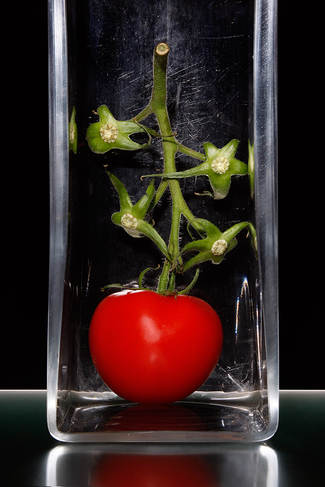 20161024214958_la_chambre_rouge___en_rouge_et_verre_13 20161024214958_la_chambre_rouge___en_rouge_et_verre_13