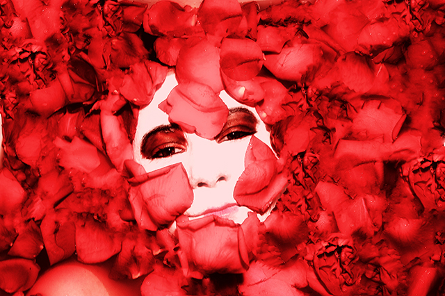 20161024233633_dsc_0140 20161024233633_dsc_0140