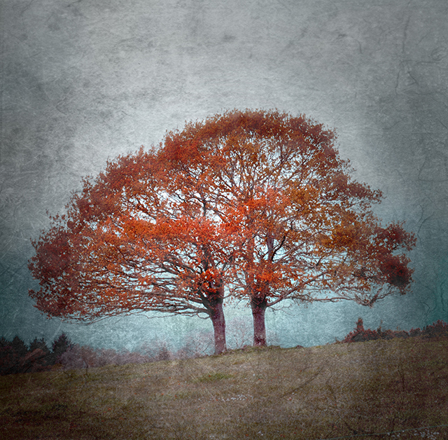 20161024172157_les_amants 20161024172157_les_amants