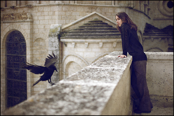 Oiseau de mauvais augure - Gilles Alonso Oiseau de mauvais augure - Gilles Alonso