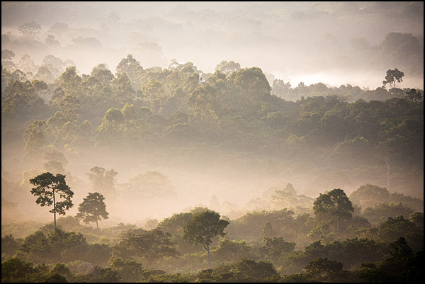 L'oxyde - Alain Laboile L'oxyde - Alain Laboile