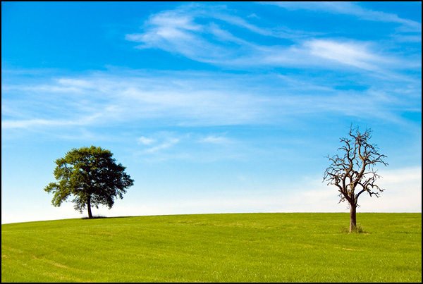 La vie, la mort - Daniel Guffanti La vie, la mort - Daniel Guffanti