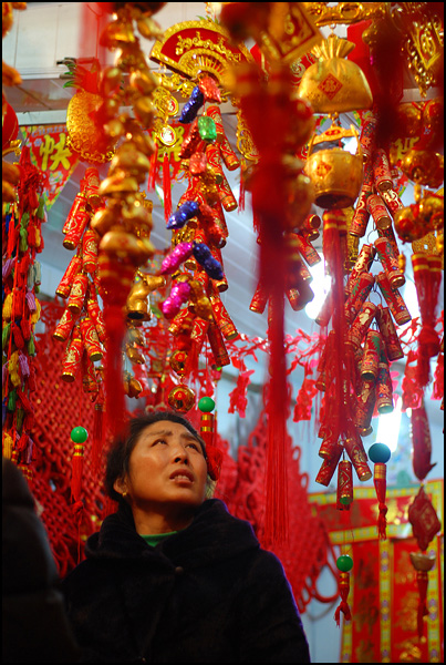 L'année du boeuf arrive ! - Benoit Cézard L'année du boeuf arrive ! - Benoit Cézard