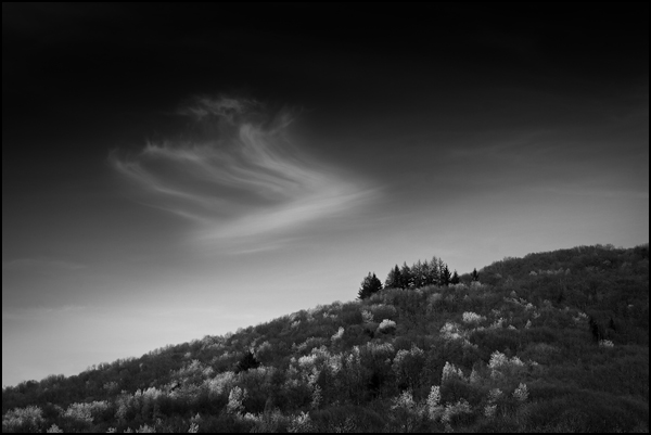 Effluves - Eric Martzloff Effluves - Eric Martzloff