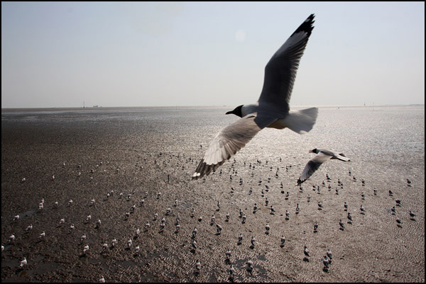 Sur la Digue de Bang Poo - Philippe Baron Sur la Digue de Bang Poo - Philippe Baron