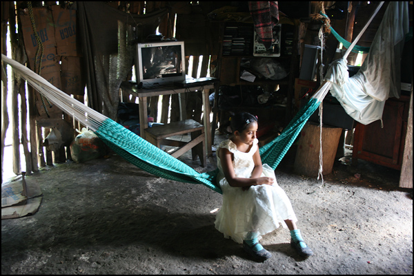 La fée Maya - Nadine Jestin La fée Maya - Nadine Jestin
