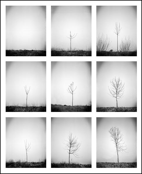 Reborn - Cyril Ruatta Reborn - Cyril Ruatta