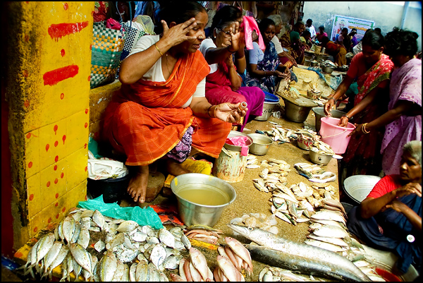 Vendeuses de poissons du marché couvert - Nadia Michel