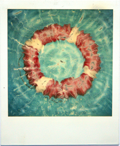 Save Polaroid - Christophe Lecocq Save Polaroid - Christophe Lecocq