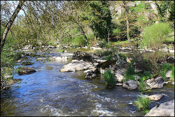 Bord de Sèvre Nantaise Bord de Sèvre Nantaise