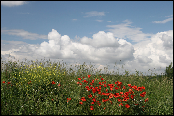 Printemps Printemps