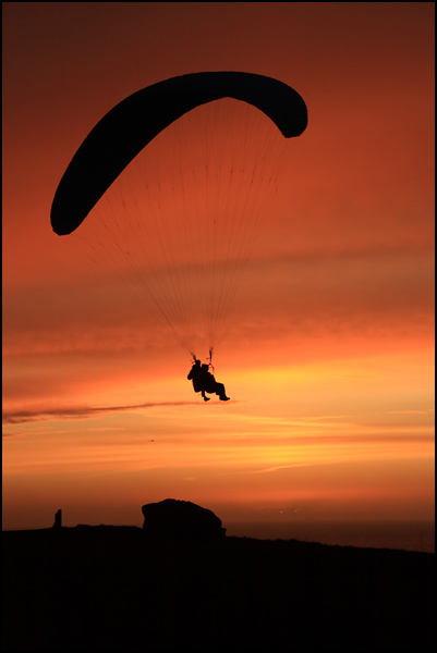 Fais comme l'oiseau Fais comme l'oiseau