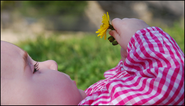 Découverte avec la nature Découverte avec la nature