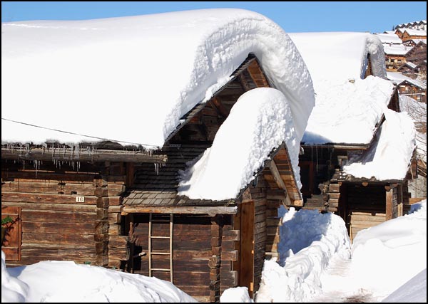 La nature a tous les droits La nature a tous les droits