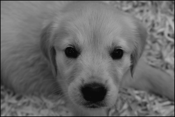 Quand la vie donne naissance à l'innocence Quand la vie donne naissance à l'innocence