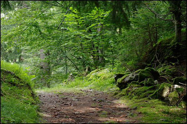 Protégeons-la ! Protégeons-la !