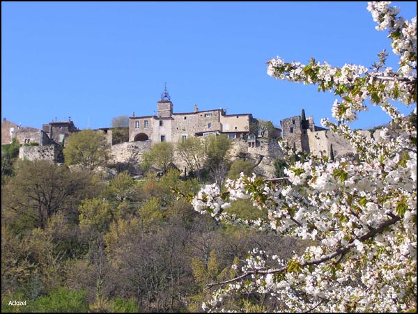 La vie est belle... au printemps La vie est belle... au printemps