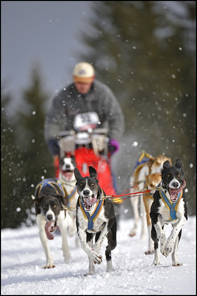 Elle est pas belle la vie ?! Elle est pas belle la vie ?!