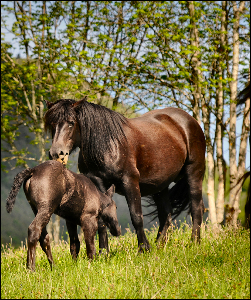 La vie est belle... comme un pas de danse. La vie est belle... comme un pas de danse.