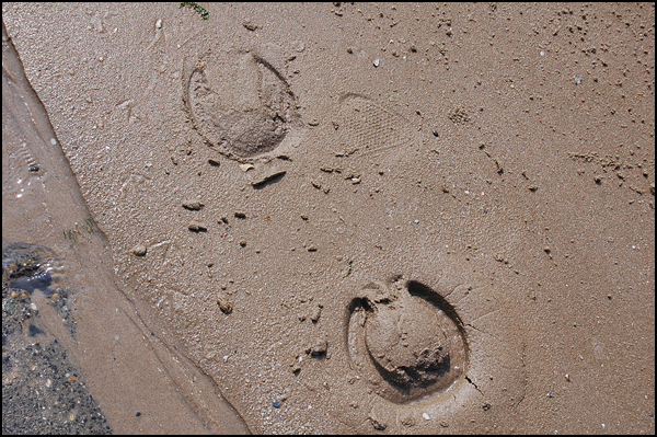 Une vie, un chemin Une vie, un chemin