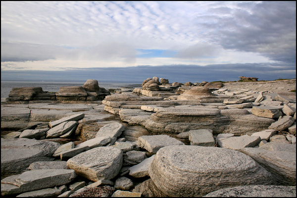 Terre sauvage Terre sauvage