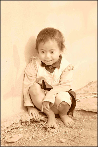 La Thaïlande la rizière La Thaïlande la rizière