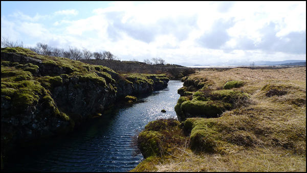 La vie dans la nature de l'Islande La vie dans la nature de l'Islande