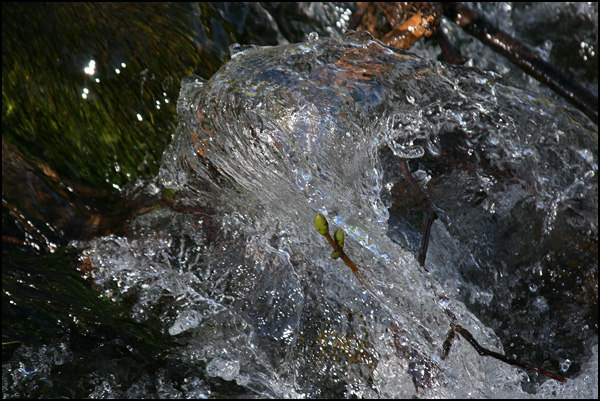 L'eau c'est la vie ! L'eau c'est la vie !