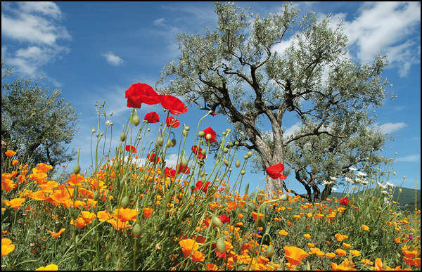 Fabuleux mois de mai Fabuleux mois de mai