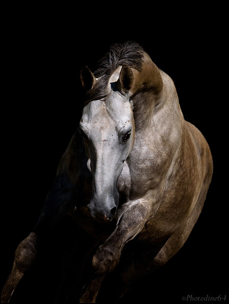 Face à face Face à face