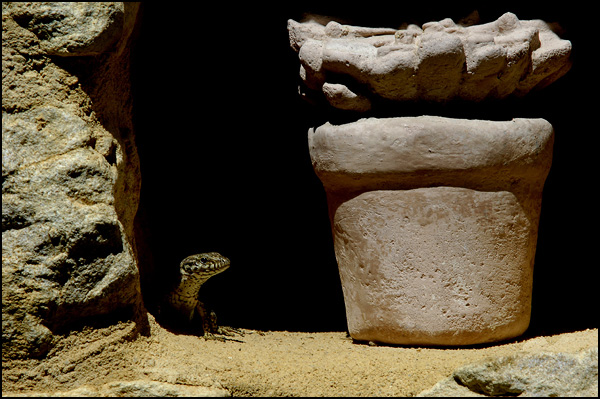 La vie est belle, je sors. La vie est belle, je sors.