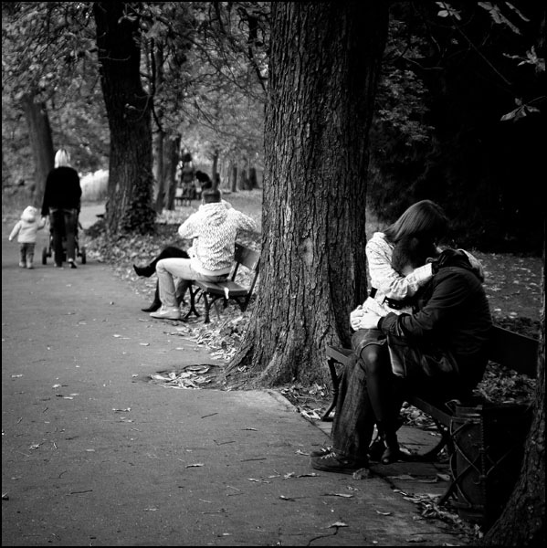 Amour d'automne Amour d'automne