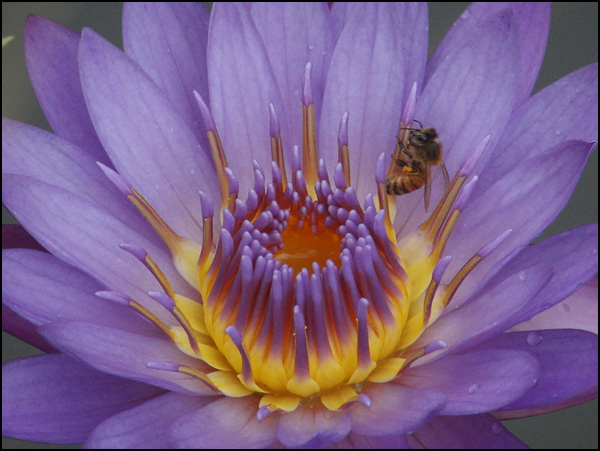 20090519102518_KIF_4776.jpg 20090519102518_KIF_4776.jpg