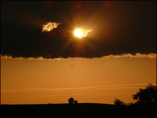 20090519105437_m_75788804_0.jpg 20090519105437_m_75788804_0.jpg