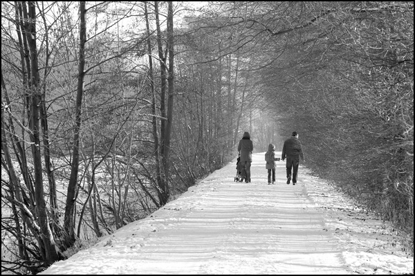 20090601030830_hiver-200901113.jpg 20090601030830_hiver-200901113.jpg