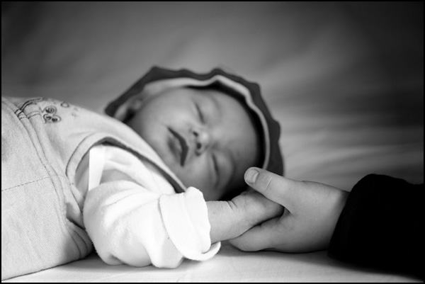 20090601031636_trait_d'union.jpg 20090601031636_trait_d'union.jpg