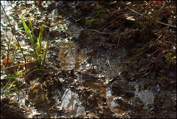 20090602035132_Vie_plusforteque_mort_frereflav.jpg 20090602035132_Vie_plusforteque_mort_frereflav.jpg