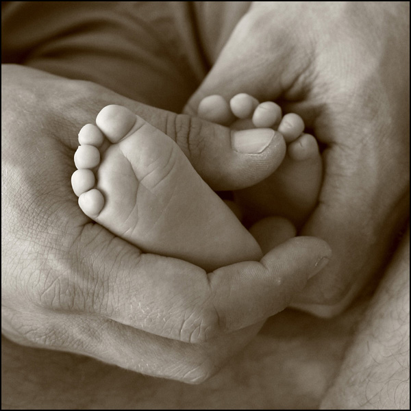 20090602040909_IMG_9972k.jpg 20090602040909_IMG_9972k.jpg