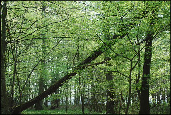 20090602050613_DSC_0023_(2).jpg 20090602050613_DSC_0023_(2).jpg