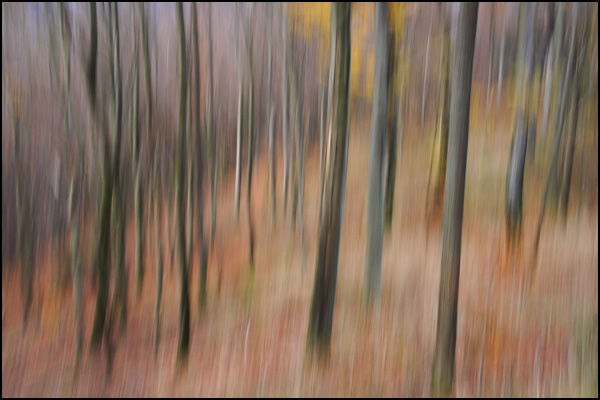 20090602050643_IMG_9377.jpg 20090602050643_IMG_9377.jpg