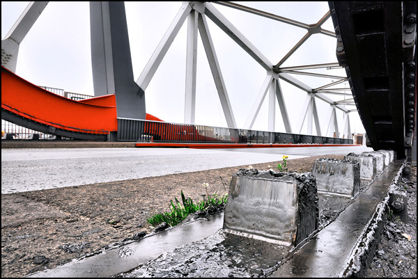 20090602051108_20090514_97.jpg 20090602051108_20090514_97.jpg