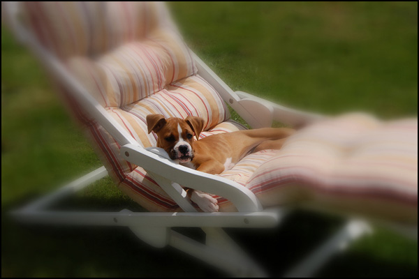 20090602051500_DSC_9013.jpg 20090602051500_DSC_9013.jpg