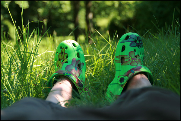 20090602052711_IMG_5124.jpg 20090602052711_IMG_5124.jpg