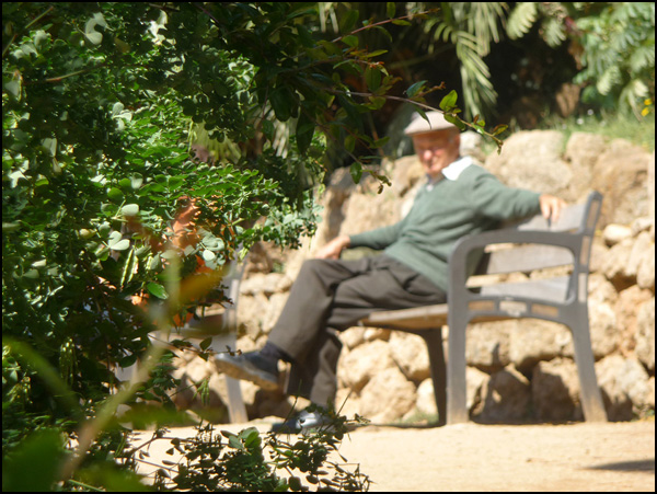 20090602053923_P1000455.jpg 20090602053923_P1000455.jpg