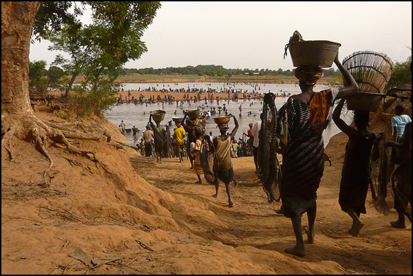 20090602061713_alapeche.jpg 20090602061713_alapeche.jpg